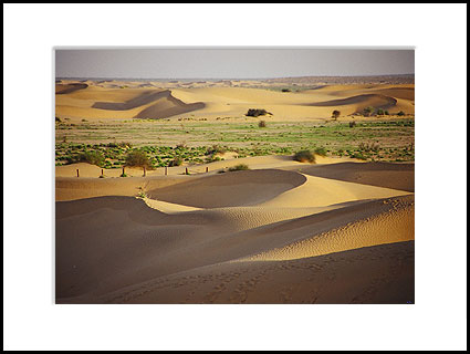 Rajasthan Desert, India